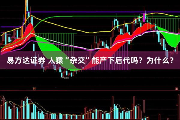 易方达证券 人猿“杂交”能产下后代吗？为什么？