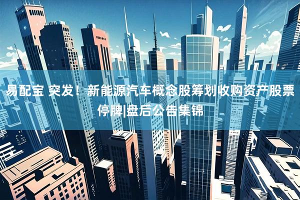 易配宝 突发！新能源汽车概念股筹划收购资产股票停牌|盘后公告集锦