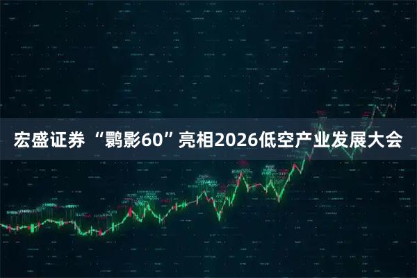宏盛证券 “鹮影60”亮相2026低空产业发展大会